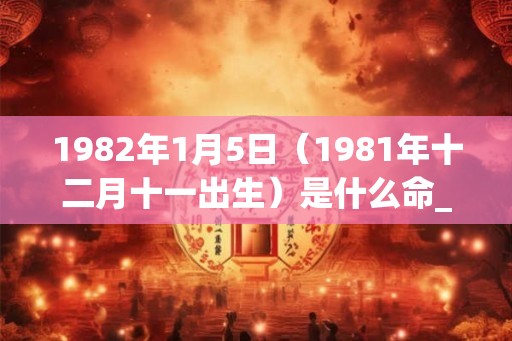 1982年1月5日（1981年十二月十一出生）是什么命_命运如何