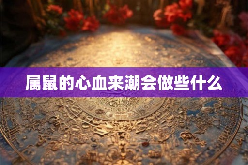 属鼠的心血来潮会做些什么