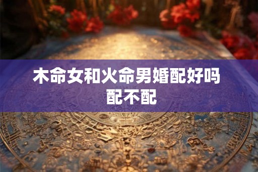 木命女和火命男婚配好吗  配不配