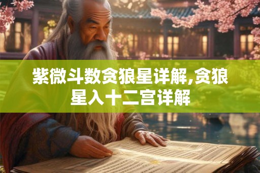 紫微斗数贪狼星详解,贪狼星入十二宫详解