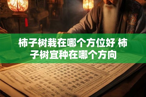 柿子树栽在哪个方位好 柿子树宜种在哪个方向