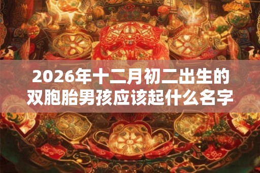 2026年十二月初二出生的双胞胎男孩应该起什么名字，五行属什么