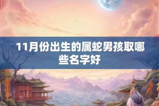 11月份出生的属蛇男孩取哪些名字好
