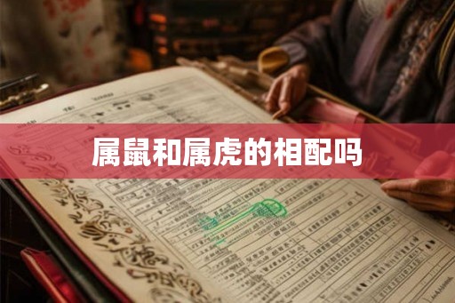 属鼠和属虎的相配吗
