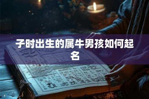 子时出生的属牛男孩如何起名