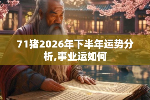 71猪2026年下半年运势分析,事业运如何