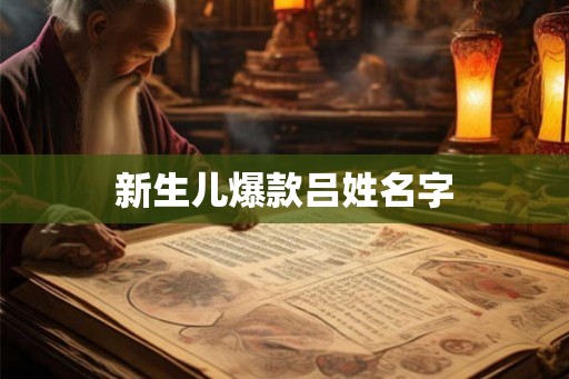 新生儿爆款吕姓名字