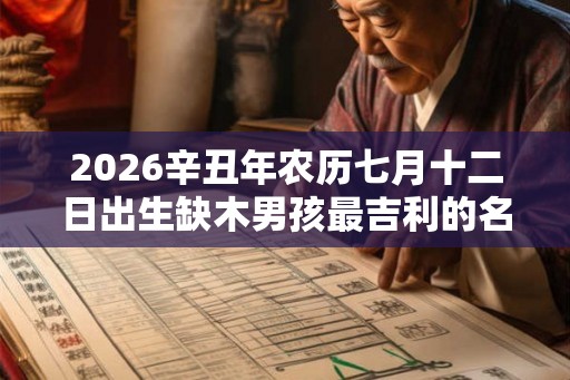 2026辛丑年农历七月十二日出生缺木男孩最吉利的名字