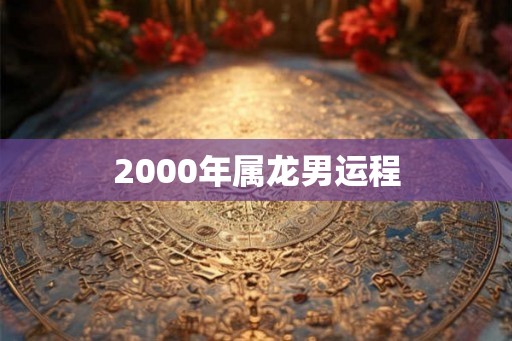 2000年属龙男运程