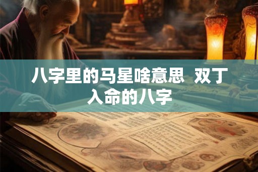 八字里的马星啥意思  双丁入命的八字