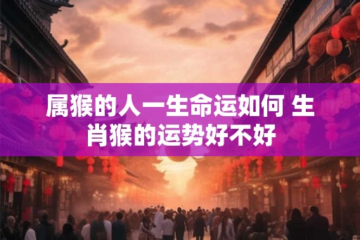 属猴的人一生命运如何 生肖猴的运势好不好