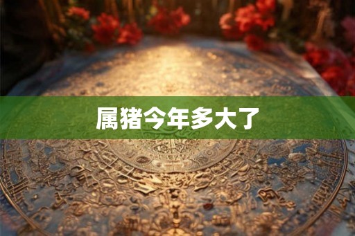 属猪今年多大了