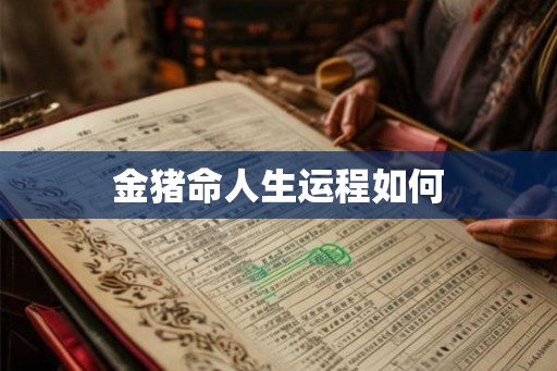 金猪命人生运程如何