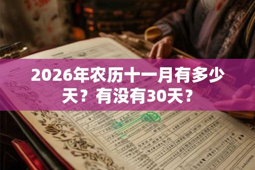 2026年农历十一月有多少天？有没有30天？