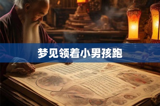 梦见领着小男孩跑