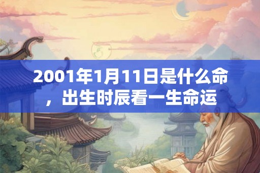 2001年1月11日是什么命，出生时辰看一生命运