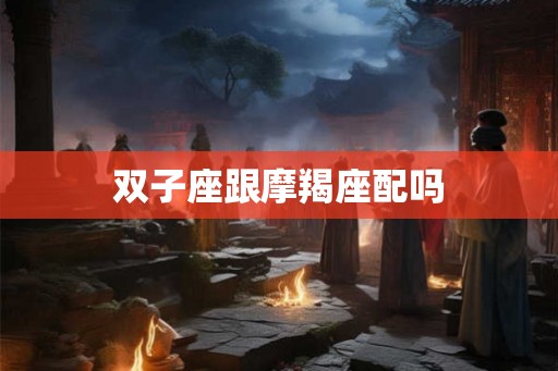双子座跟摩羯座配吗