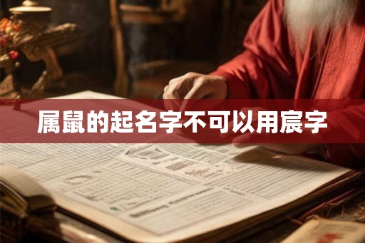属鼠的起名字不可以用宸字