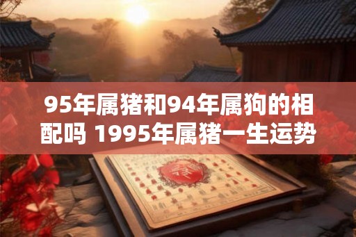 95年属猪和94年属狗的相配吗 1995年属猪一生运势如何