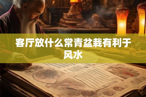 客厅放什么常青盆栽有利于风水