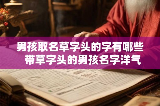 男孩取名草字头的字有哪些  带草字头的男孩名字洋气