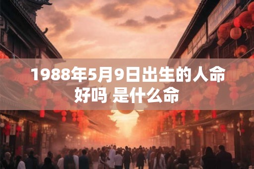1988年5月9日出生的人命好吗 是什么命
