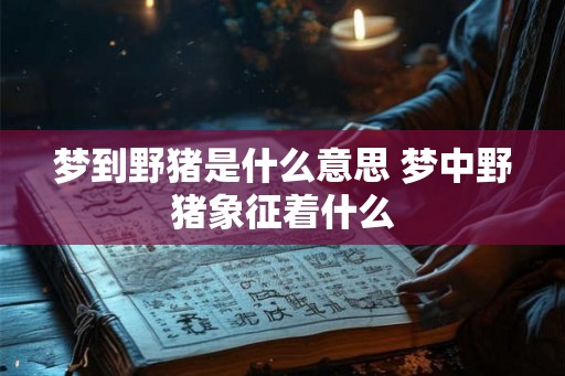 梦到野猪是什么意思 梦中野猪象征着什么