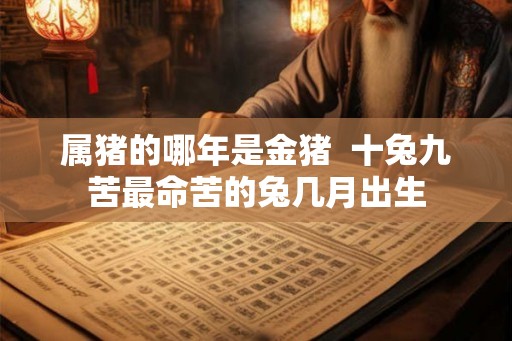 属猪的哪年是金猪  十兔九苦最命苦的兔几月出生