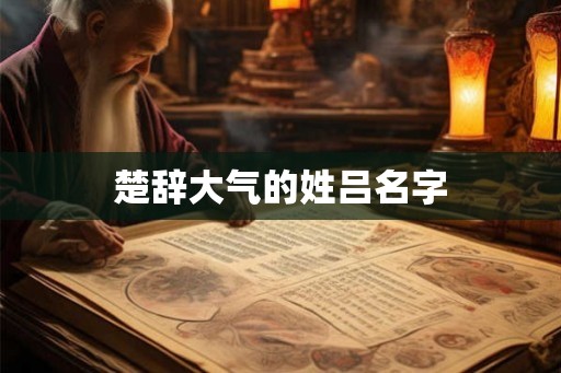 楚辞大气的姓吕名字