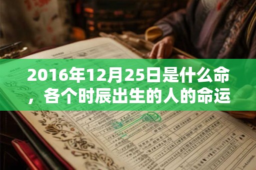 2016年12月25日是什么命，各个时辰出生的人的命运