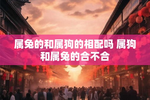 属兔的和属狗的相配吗 属狗和属兔的合不合