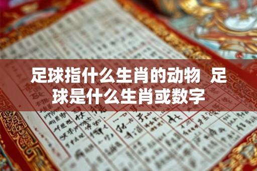 足球指什么生肖的动物  足球是什么生肖或数字