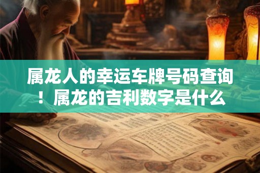 属龙人的幸运车牌号码查询!属龙的吉利数字是什么 属龙人的幸运车牌号码查询!属龙的吉利数字是什么