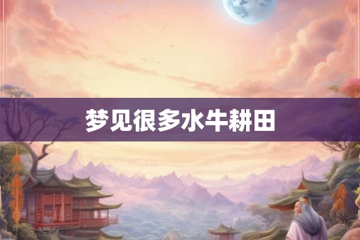 梦见很多水牛耕田