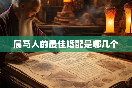 属马人的最佳婚配是哪几个