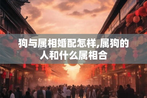 狗与属相婚配怎样,属狗的人和什么属相合