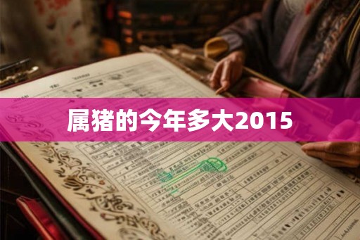 属猪的今年多大2015