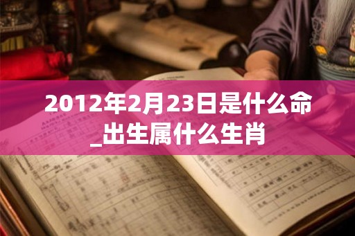 2012年2月23日是什么命_出生属什么生肖