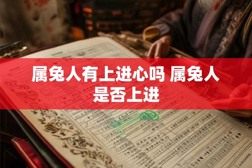 属兔人有上进心吗 属兔人是否上进 属兔人有上进心吗 属兔人是否上进