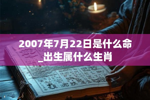 2007年7月22日是什么命_出生属什么生肖 2007年7月22日是什么命_出生属什么生肖
