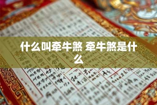 什么叫牵牛煞 牵牛煞是什么