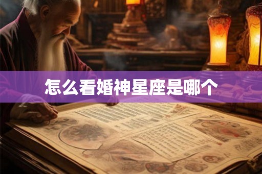 怎么看婚神星座是哪个