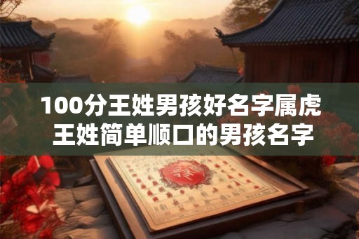 100分王姓男孩好名字属虎 王姓简单顺口的男孩名字