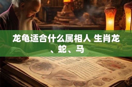 龙龟适合什么属相人 生肖龙、蛇、马