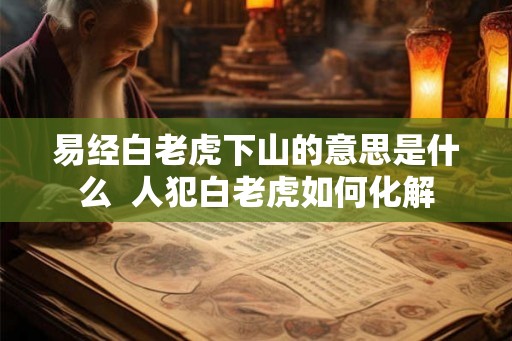 易经白老虎下山的意思是什么  人犯白老虎如何化解