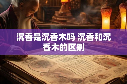 沉香是沉香木吗 沉香和沉香木的区别