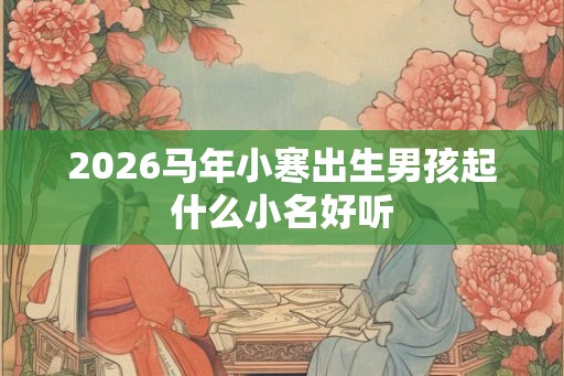 2026马年小寒出生男孩起什么小名好听