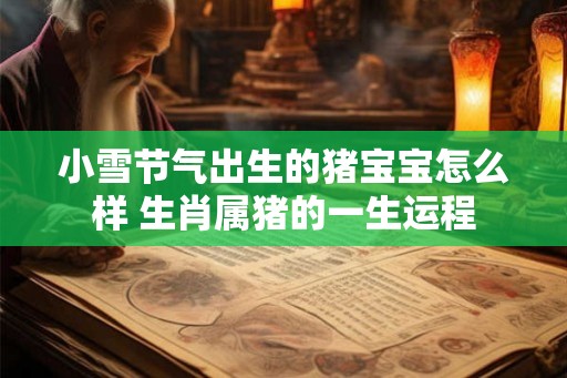 小雪节气出生的猪宝宝怎么样 生肖属猪的一生运程
