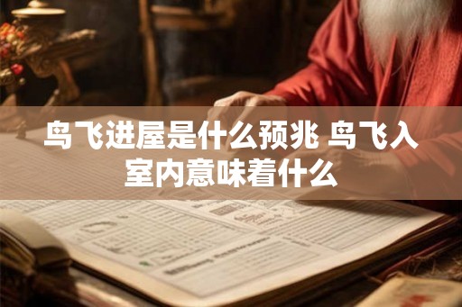 鸟飞进屋是什么预兆 鸟飞入室内意味着什么