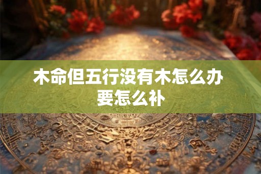 木命但五行没有木怎么办 要怎么补